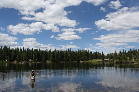 Things To Do https://telluridelodging.icnd-cdn.com/images/thingstodo/Fly Fishing.jpg